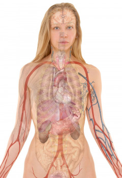 Nursing Lecturer